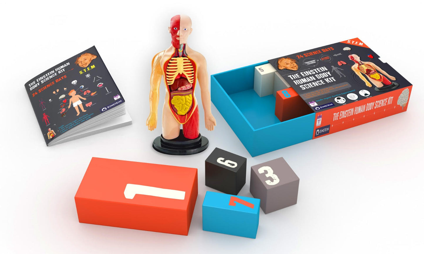 Einstein Human Body Science Kit : unique and original 24 S.T.E.M science experiments & activities all about the human body. Includes 12’ Human Model with 16 detachable organs and a printed guide with directions & facts. plus a daily Video guide.