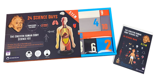 Einstein Human Body Science Kit : unique and original 24 S.T.E.M science experiments & activities all about the human body. Includes 12’ Human Model with 16 detachable organs and a printed guide with directions & facts. plus a daily Video guide.