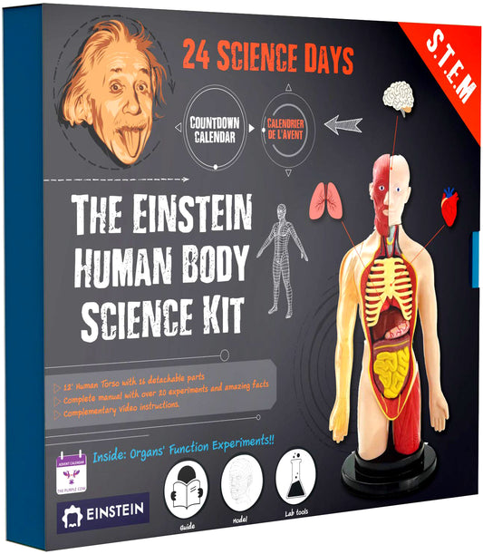 Einstein Human Body Science Kit : unique and original 24 S.T.E.M science experiments & activities all about the human body. Includes 12’ Human Model with 16 detachable organs and a printed guide with directions & facts. plus a daily Video guide.